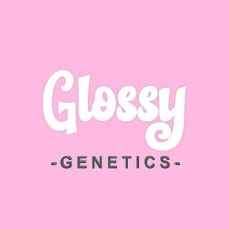 Glossy Genetics official logo or profile image